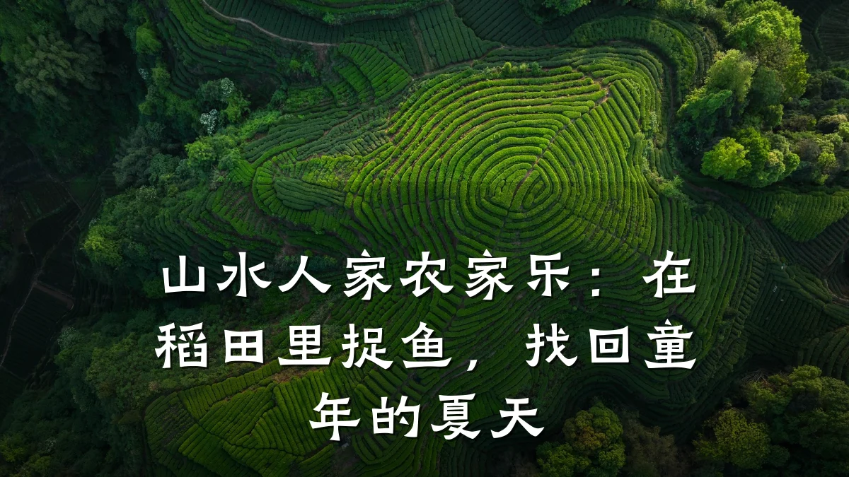 山水人家农家乐:在稻田里捉鱼,找回童年的夏天