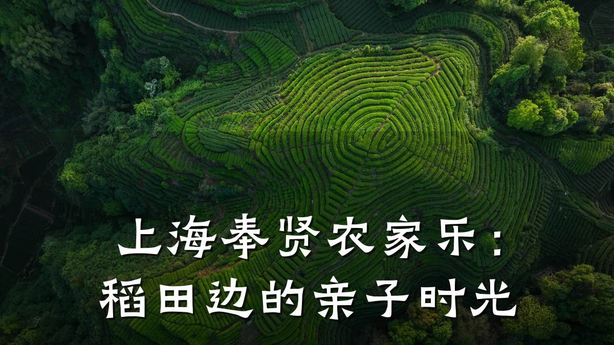上海奉贤农家乐:稻田边的亲子时光