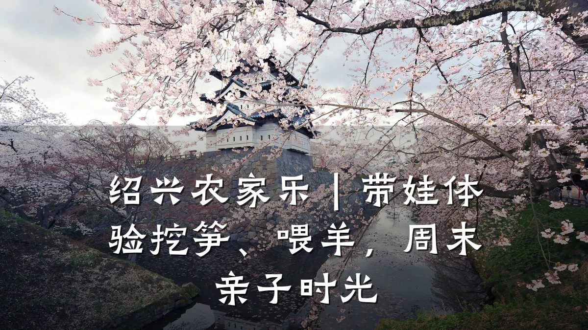 绍兴农家乐|带娃体验挖笋、喂羊,周末亲子时光