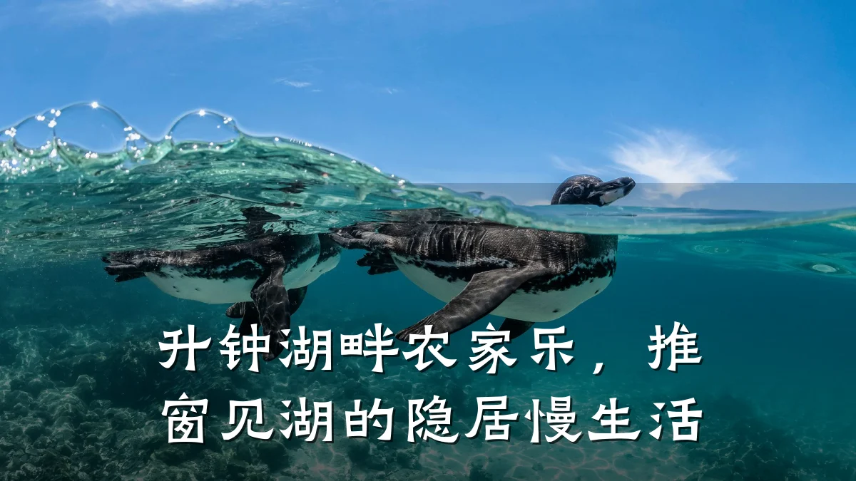 升钟湖畔农家乐,推窗见湖的隐居慢生活