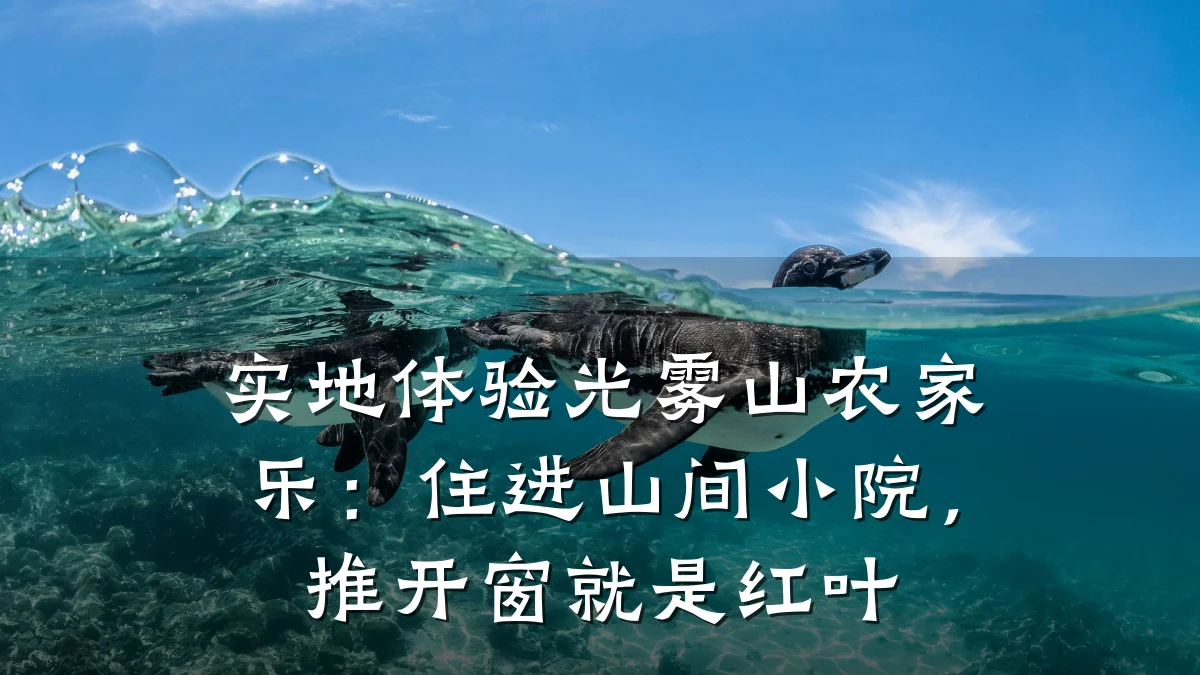 实地体验光雾山农家乐:住进山间小院,推开窗就是红叶