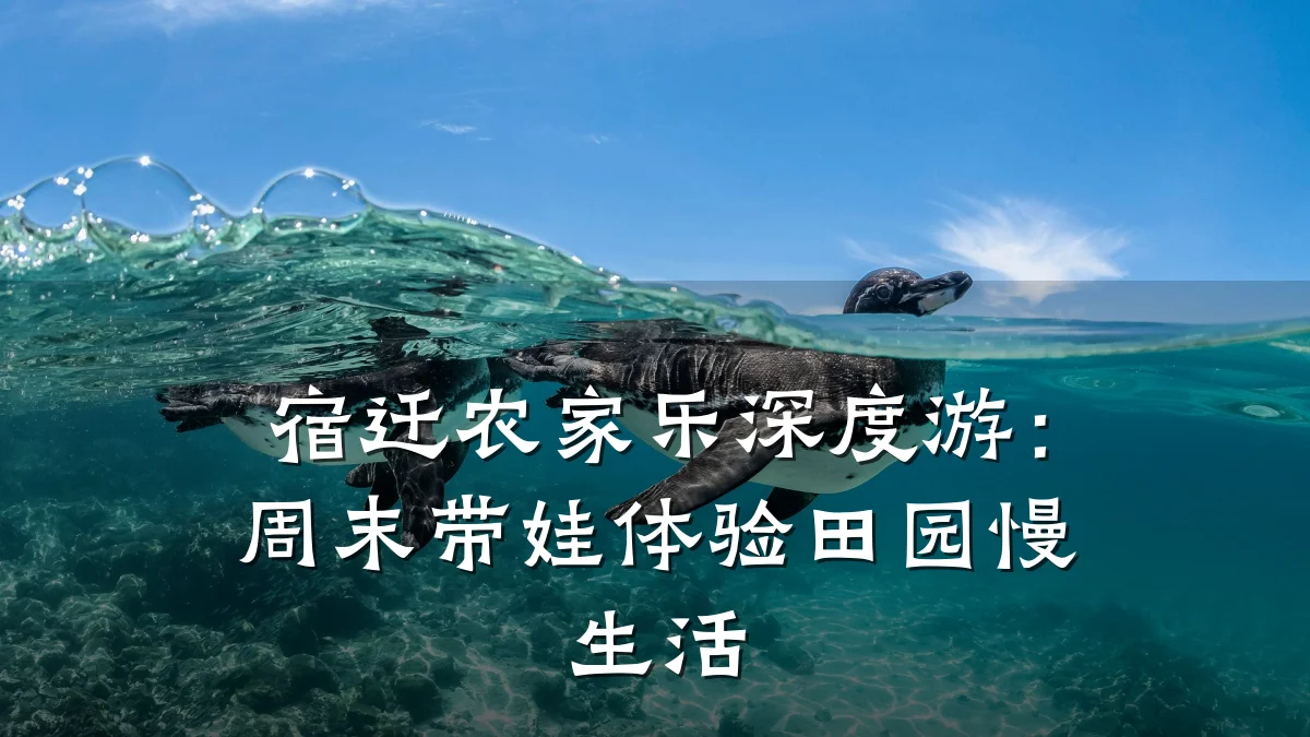 宿迁农家乐深度游:周末带娃体验田园慢生活