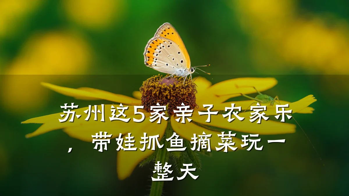 苏州这5家亲子农家乐,带娃抓鱼摘菜玩一整天