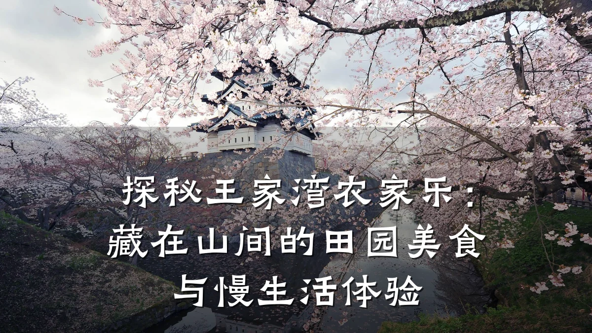 探秘王家湾农家乐:藏在山间的田园美食与慢生活体验