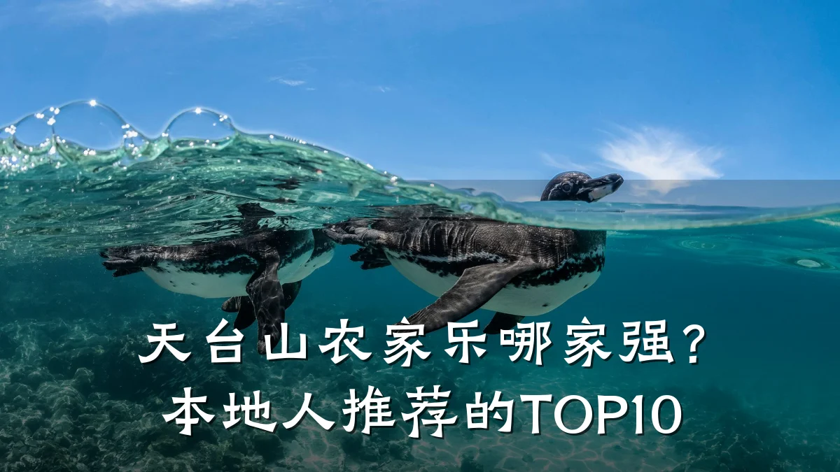 天台山农家乐哪家强?本地人推荐的TOP10