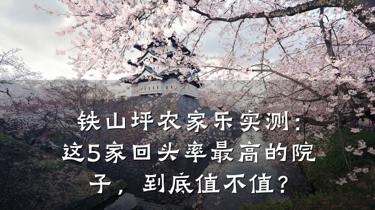 铁山坪农家乐实测:这5家回头率最高的院子,到底值不值?