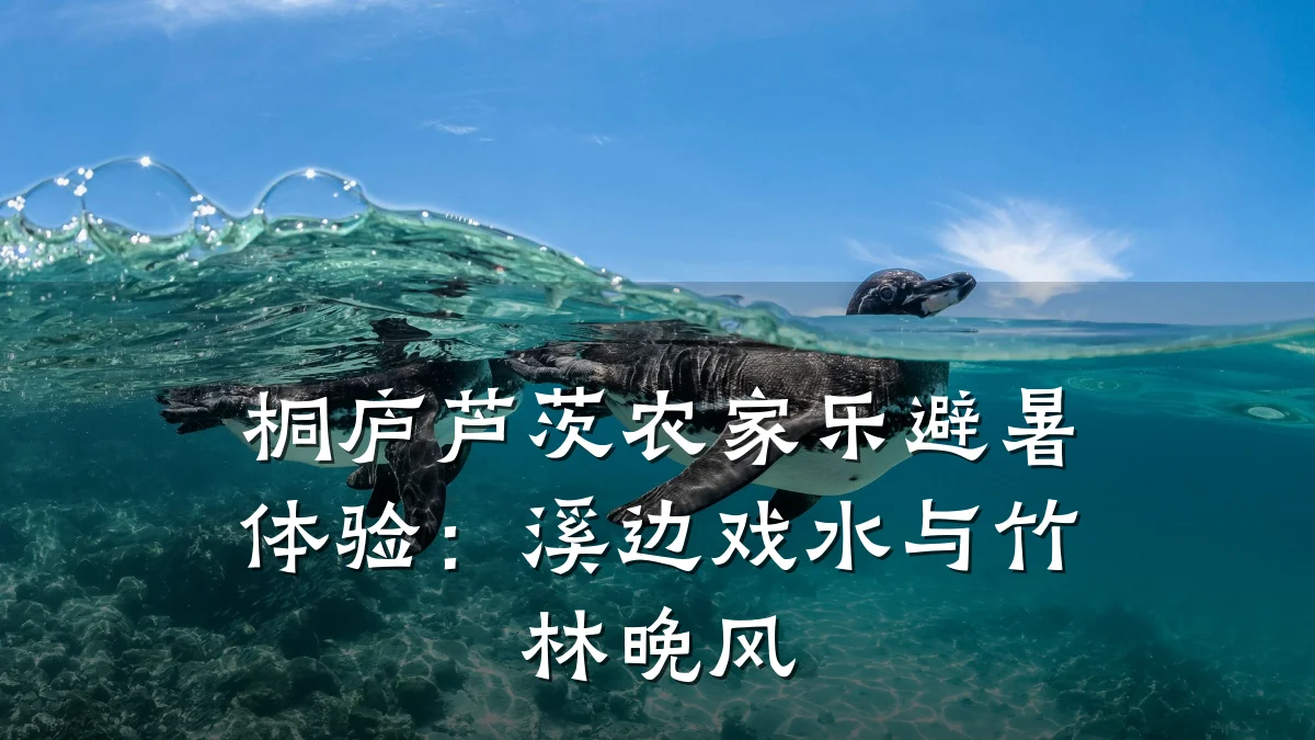 桐庐芦茨农家乐避暑体验:溪边戏水与竹林晚风