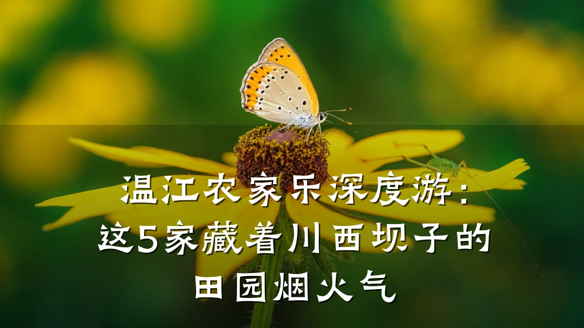 温江农家乐深度游:这5家藏着川西坝子的田园烟火气