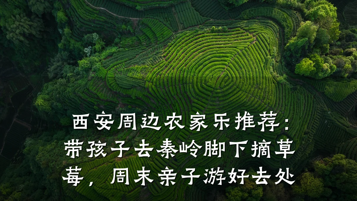 西安周边农家乐推荐：带孩子去秦岭脚下摘草莓，周末亲子游好去处