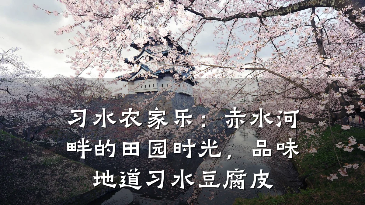 习水农家乐:赤水河畔的田园时光,品味地道习水豆腐皮