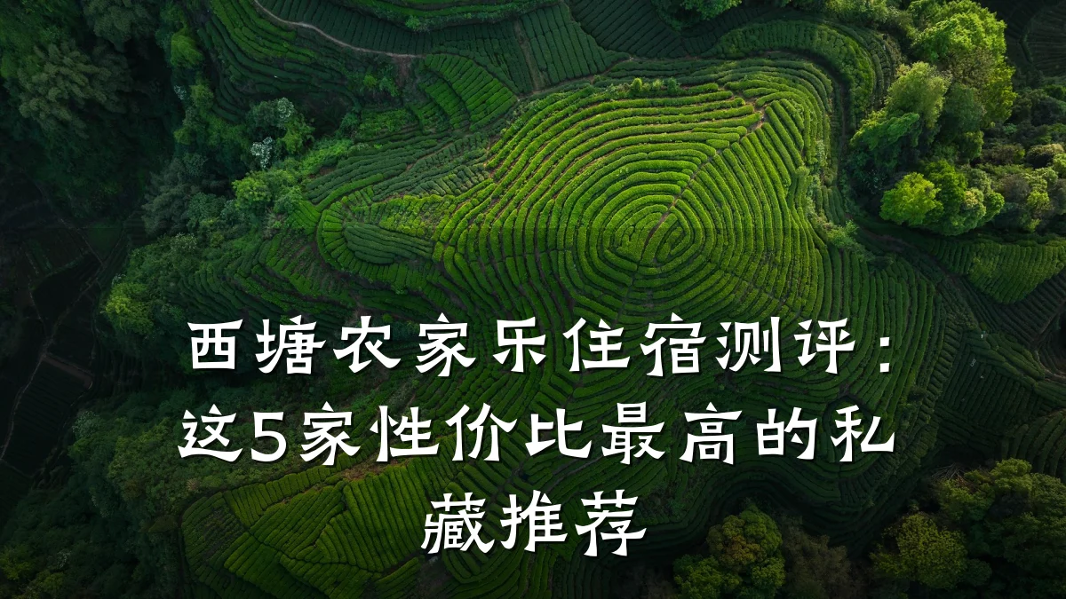西塘农家乐住宿测评:这5家性价比最高的私藏推荐