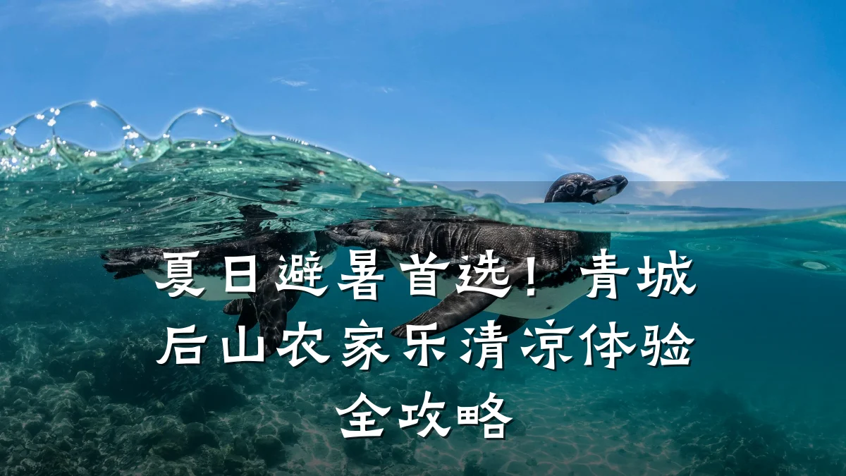 夏日避暑首选!青城后山农家乐清凉体验全攻略
