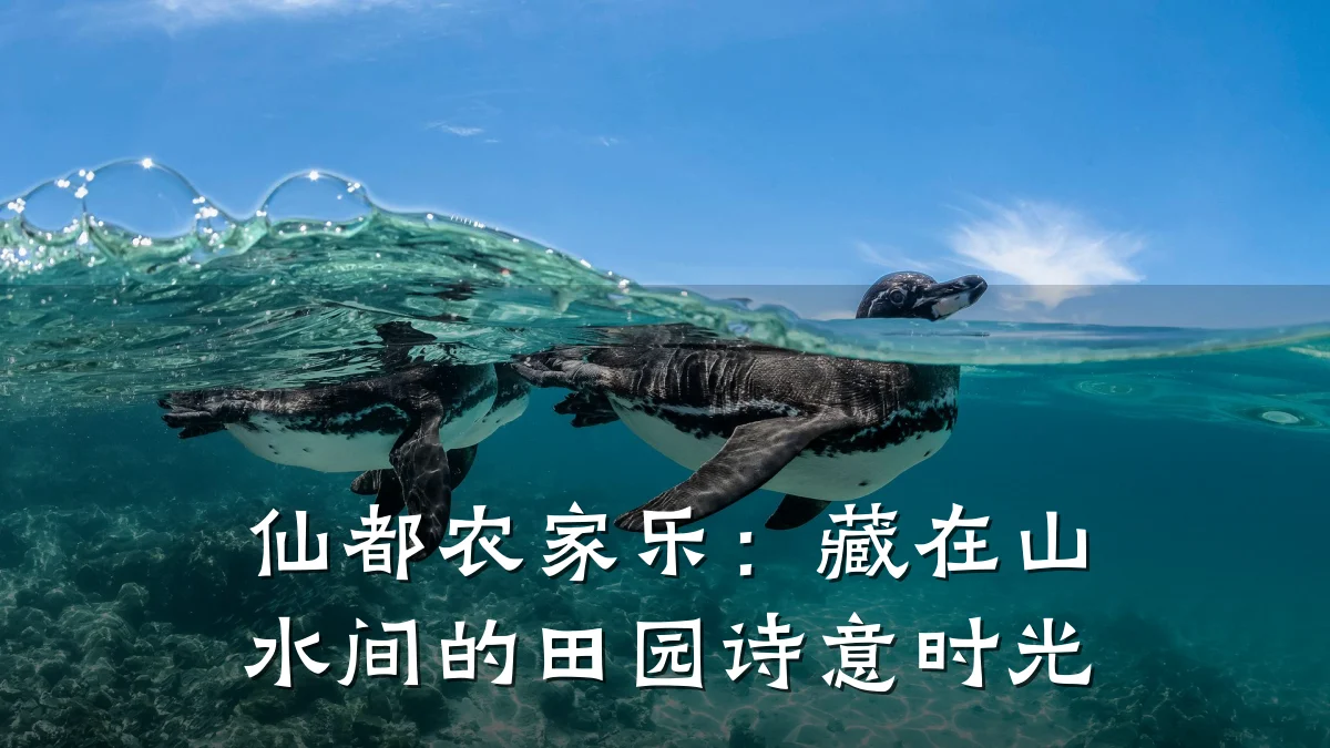 仙都农家乐:藏在山水间的田园诗意时光