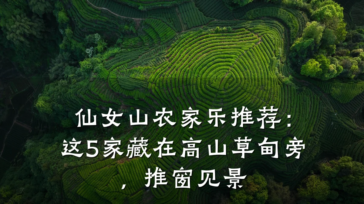 仙女山农家乐推荐:这5家藏在高山草甸旁,推窗见景