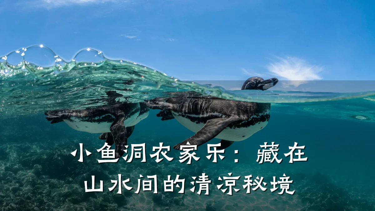 小鱼洞农家乐:藏在山水间的清凉秘境