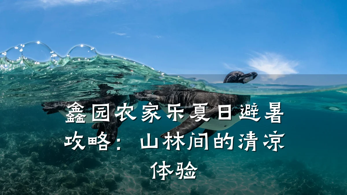 鑫园农家乐夏日避暑攻略:山林间的清凉体验