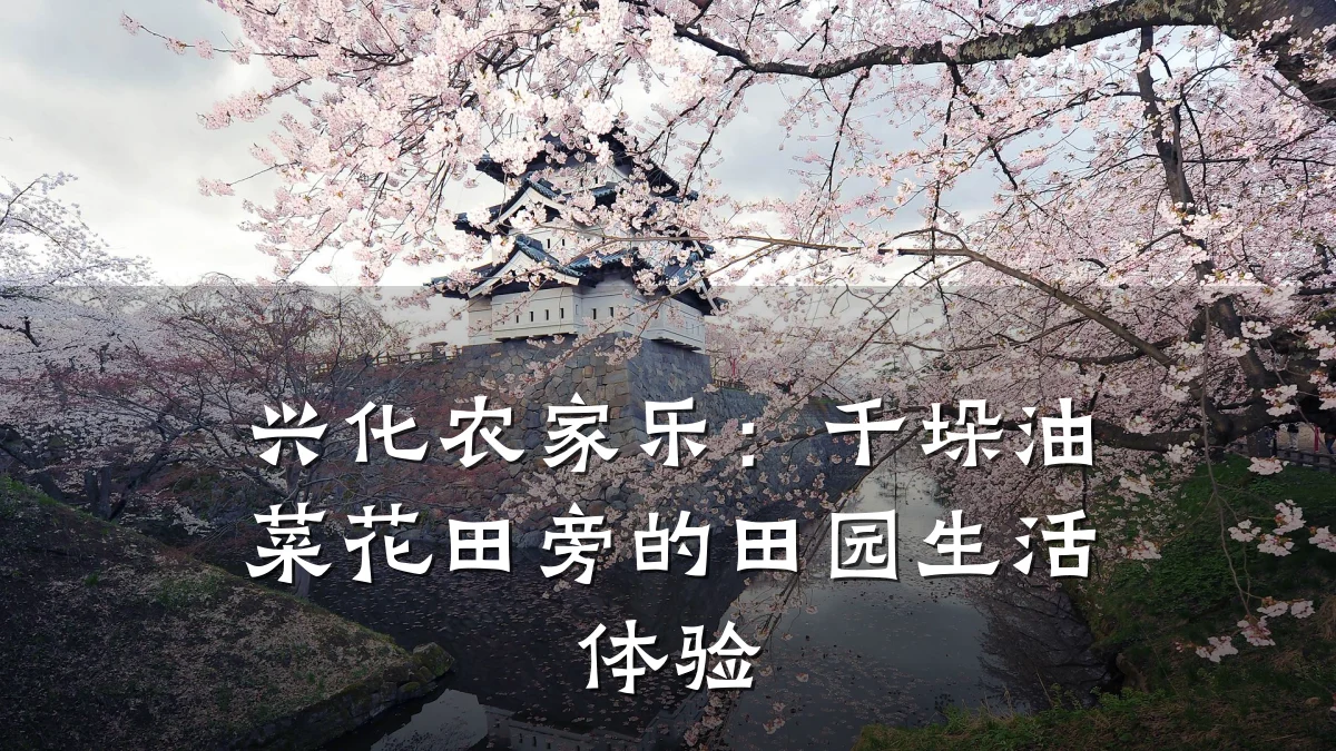 兴化农家乐:千垛油菜花田旁的田园生活体验