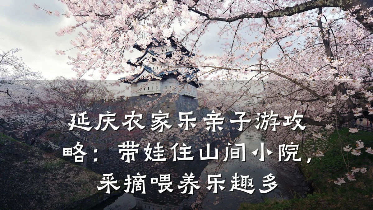 延庆农家乐亲子游攻略:带娃住山间小院,采摘喂养乐趣多