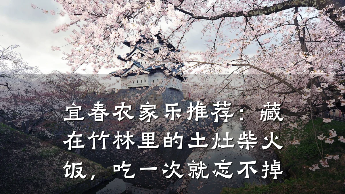 宜春农家乐推荐:藏在竹林里的土灶柴火饭,吃一次就忘不掉