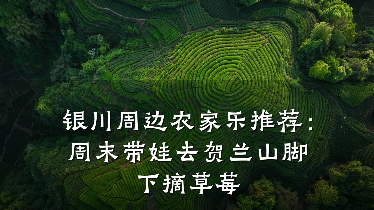 银川周边农家乐推荐:周末带娃去贺兰山脚下摘草莓