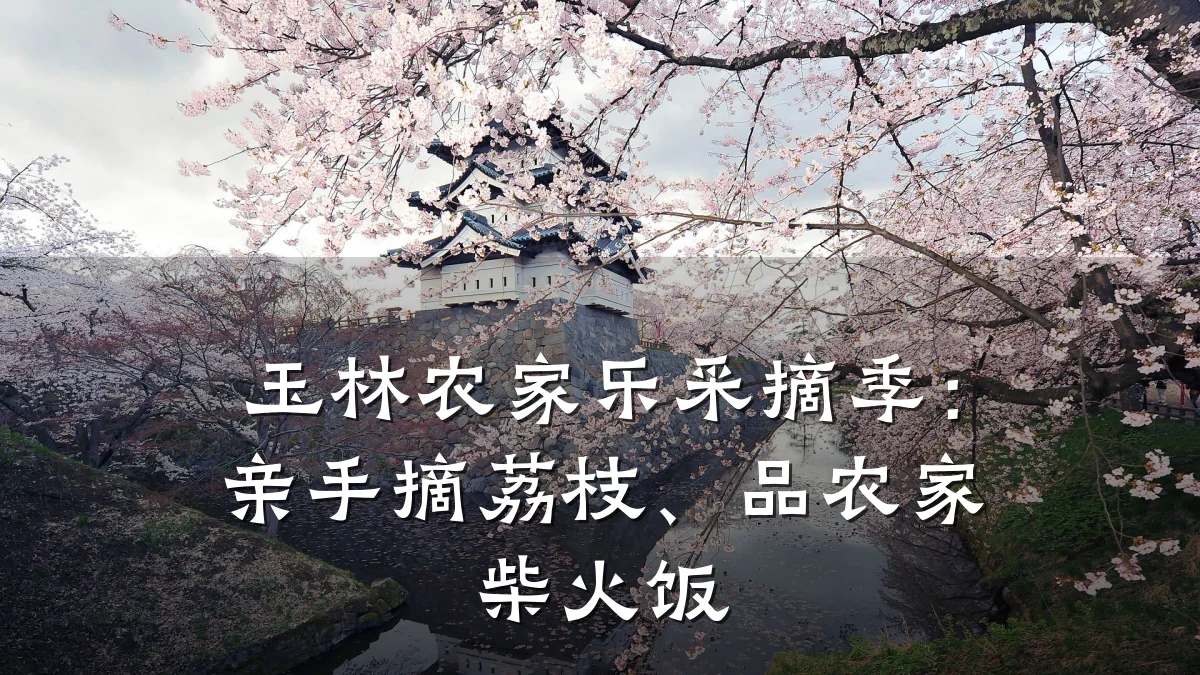 玉林农家乐采摘季:亲手摘荔枝、品农家柴火饭