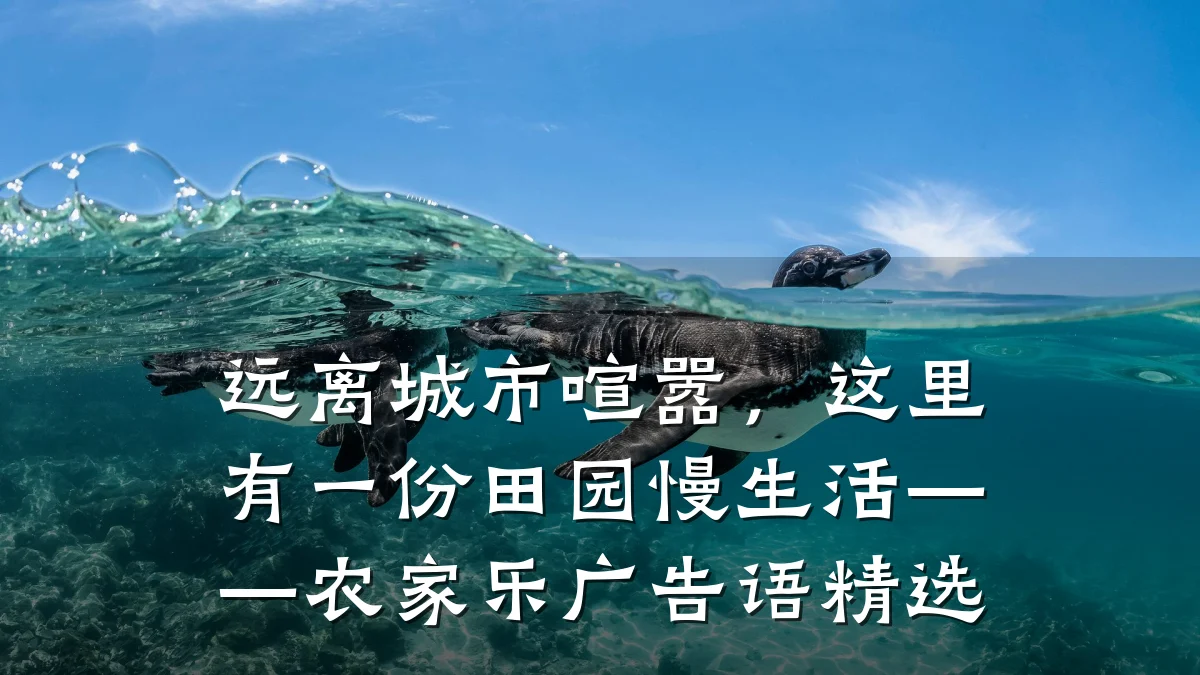 远离城市喧嚣,这里有一份田园慢生活——农家乐广告语精选