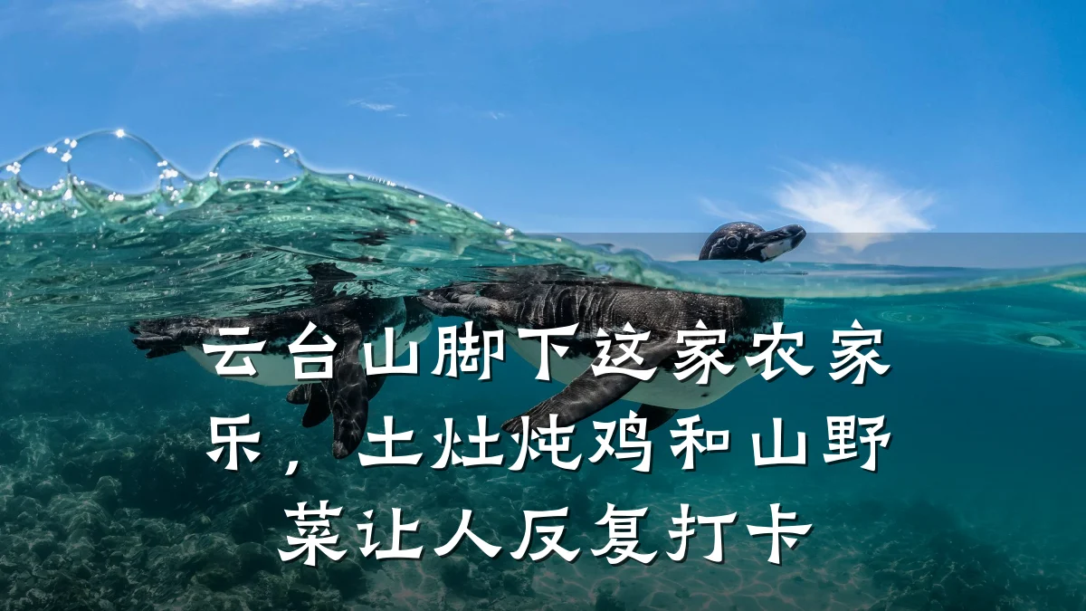 云台山脚下这家农家乐,土灶炖鸡和山野菜让人反复打卡