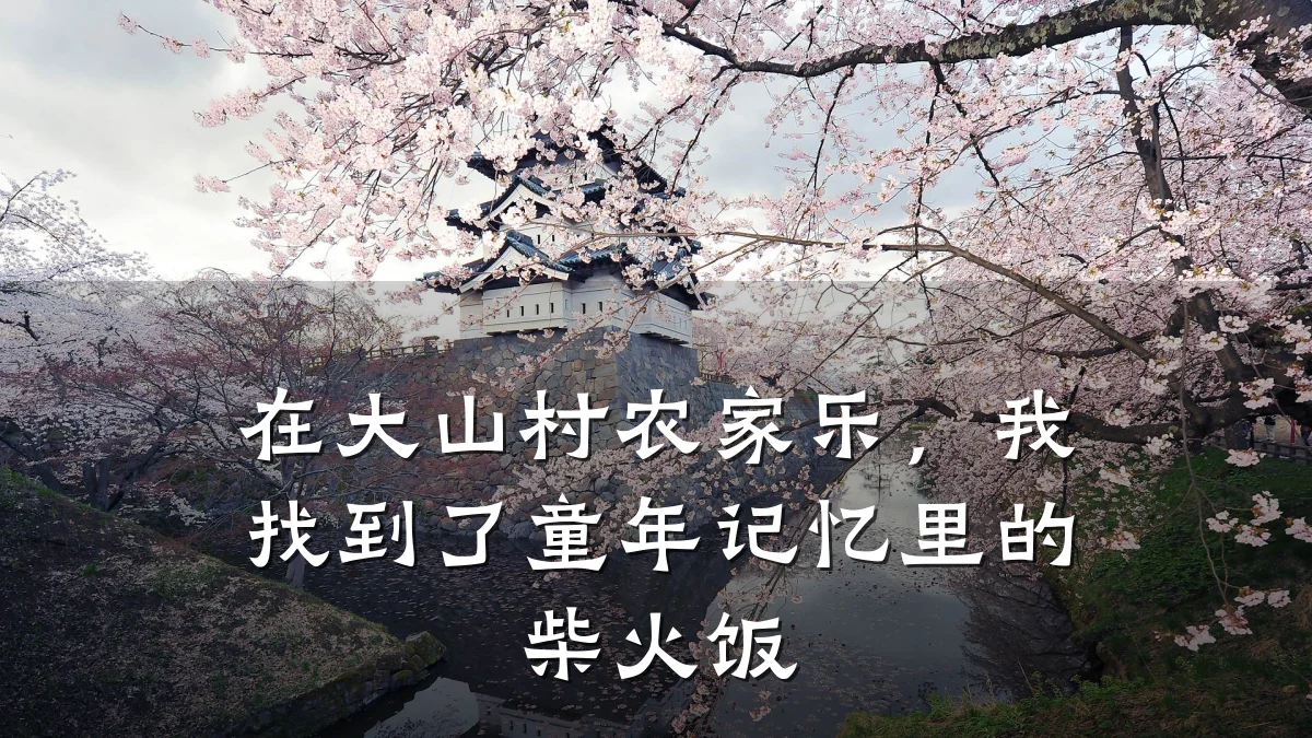 在大山村农家乐,我找到了童年记忆里的柴火饭