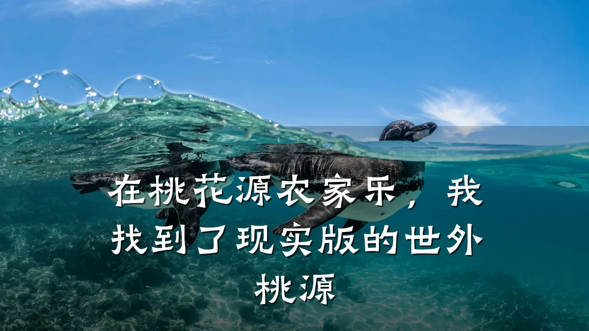 在桃花源农家乐,我找到了现实版的世外桃源