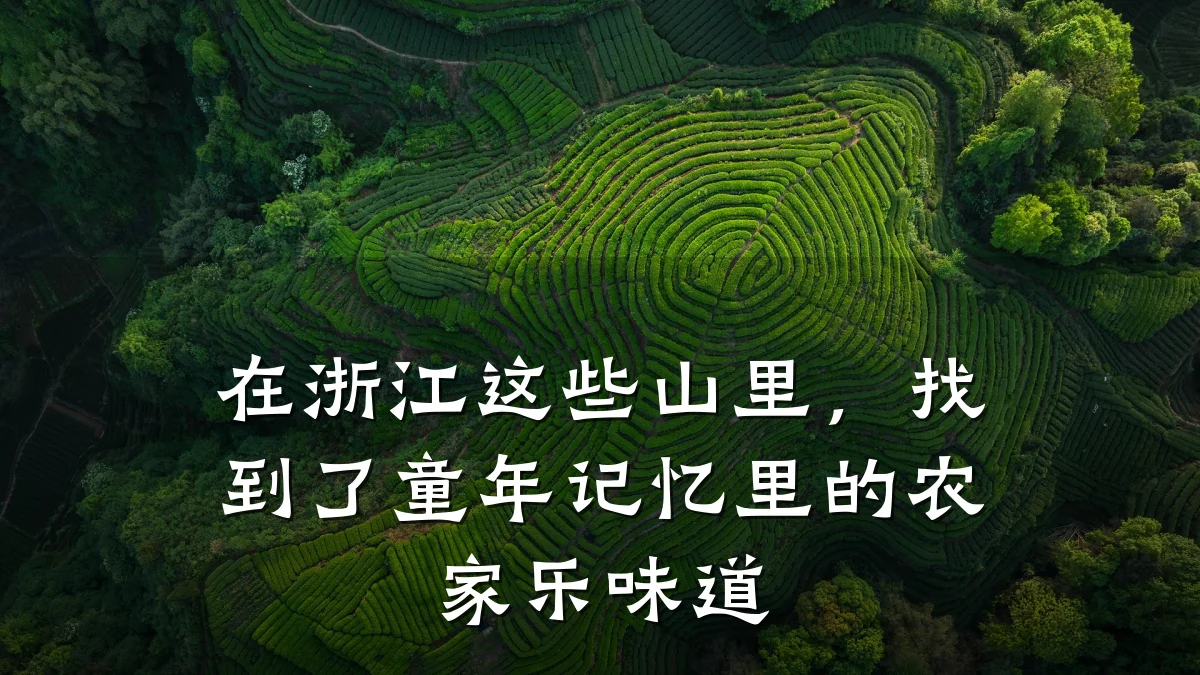 在浙江这些山里，找到了童年记忆里的农家乐味道