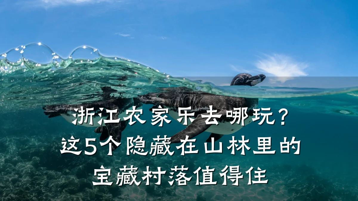 浙江农家乐去哪玩?这5个隐藏在山林里的宝藏村落值得住
