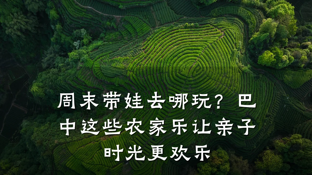 周末带娃去哪玩?巴中这些农家乐让亲子时光更欢乐