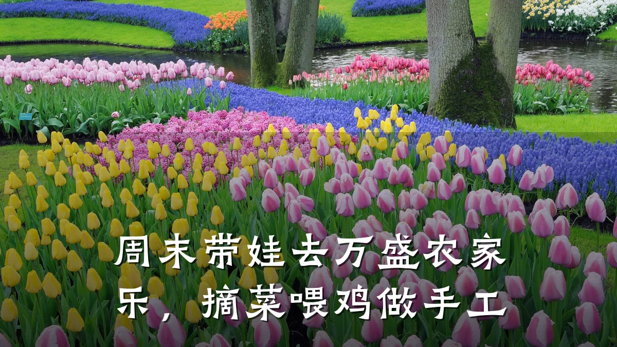 周末带娃去万盛农家乐,摘菜喂鸡做手工