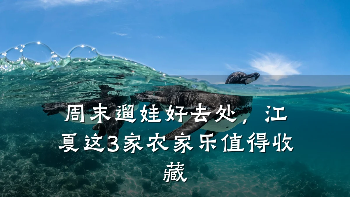 周末遛娃好去处,江夏这3家农家乐值得收藏