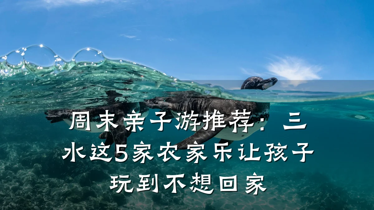 周末亲子游推荐:三水这5家农家乐让孩子玩到不想回家