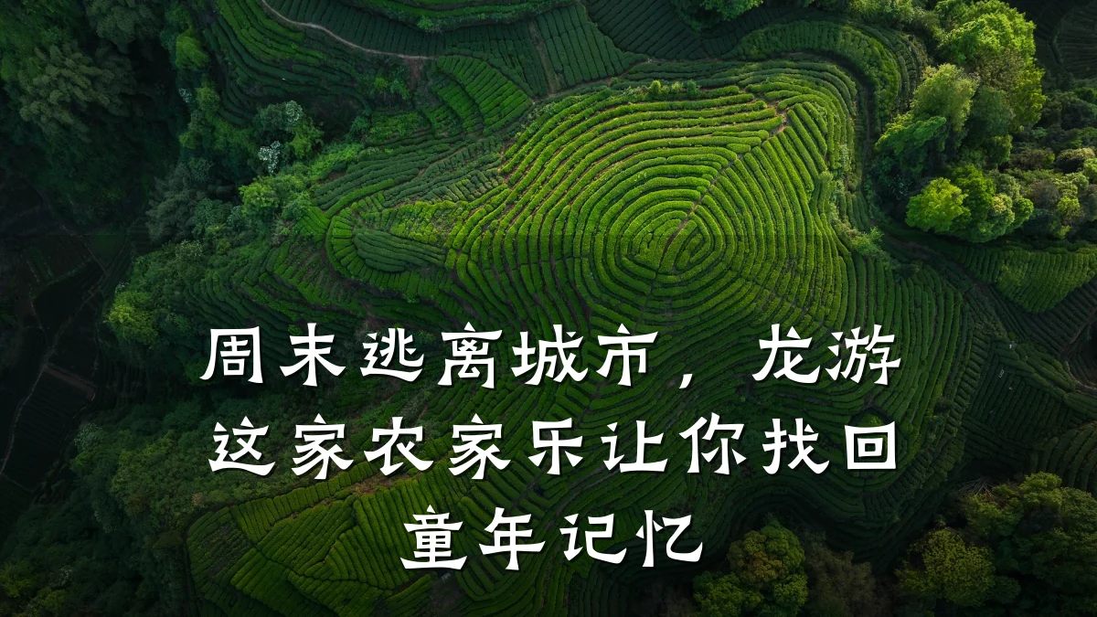 周末逃离城市,龙游这家农家乐让你找回童年记忆