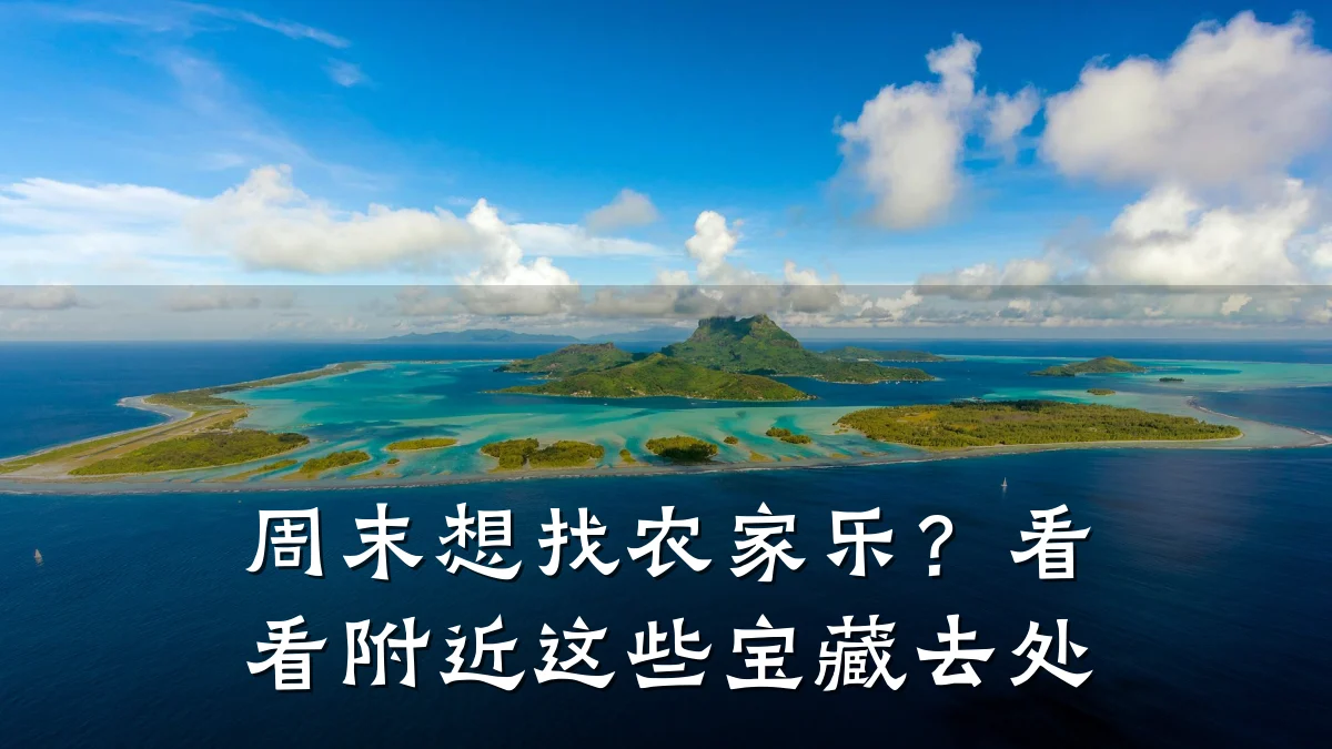 周末想找农家乐?看看附近这些宝藏去处