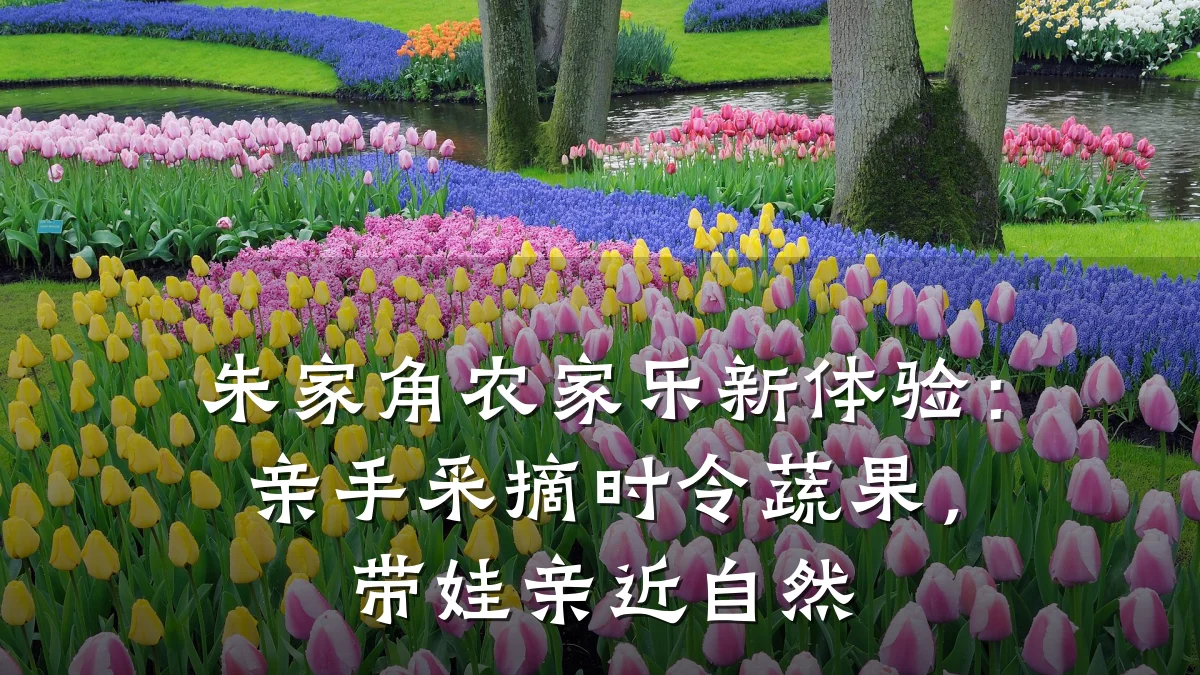 朱家角农家乐新体验:亲手采摘时令蔬果,带娃亲近自然