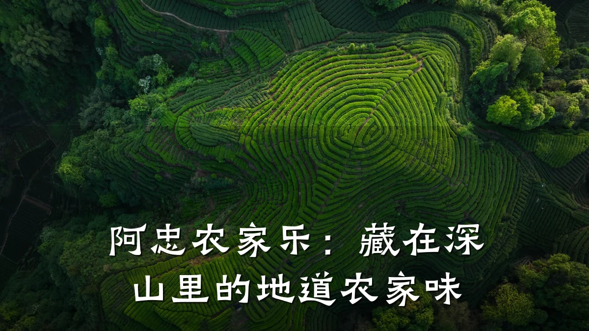 阿忠农家乐:藏在深山里的地道农家味