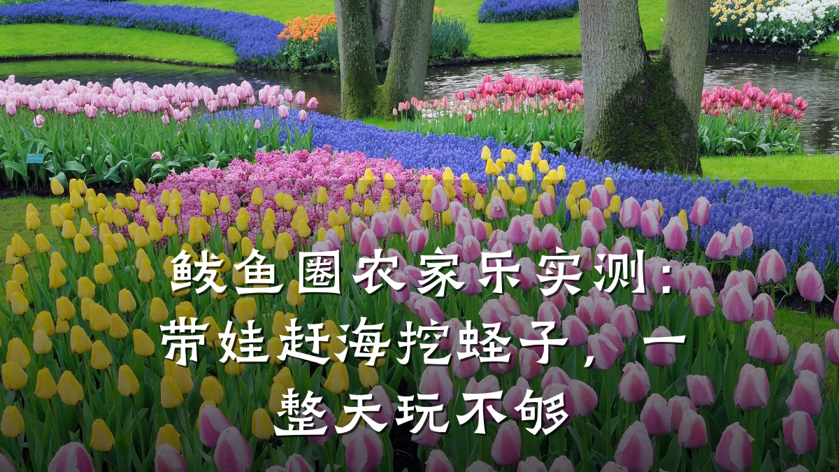 鲅鱼圈农家乐实测:带娃赶海挖蛏子,一整天玩不够