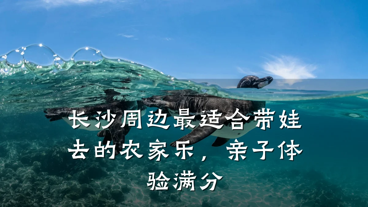 长沙周边最适合带娃去的农家乐,亲子体验满分