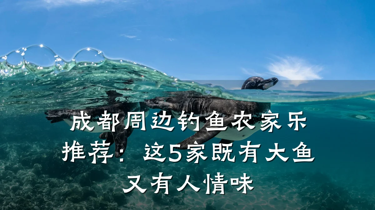 成都周边钓鱼农家乐推荐:这5家既有大鱼又有人情味