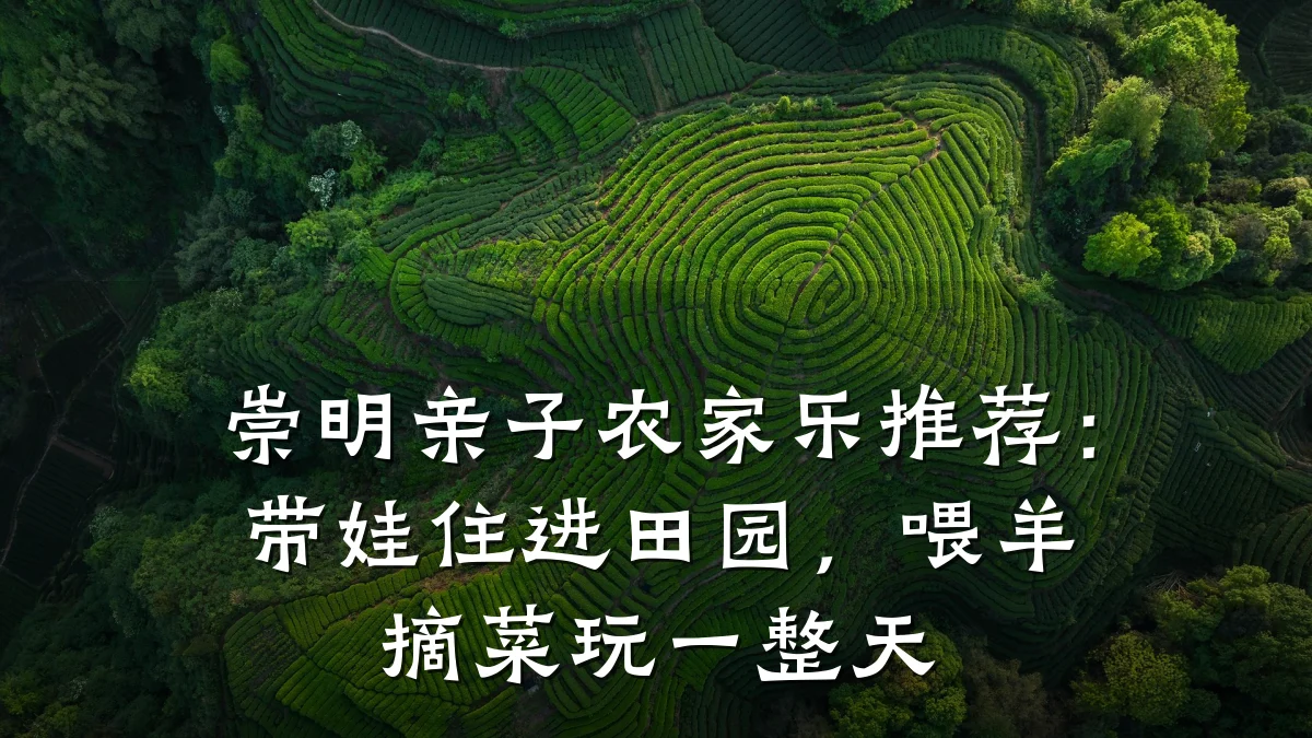 崇明亲子农家乐推荐:带娃住进田园,喂羊摘菜玩一整天