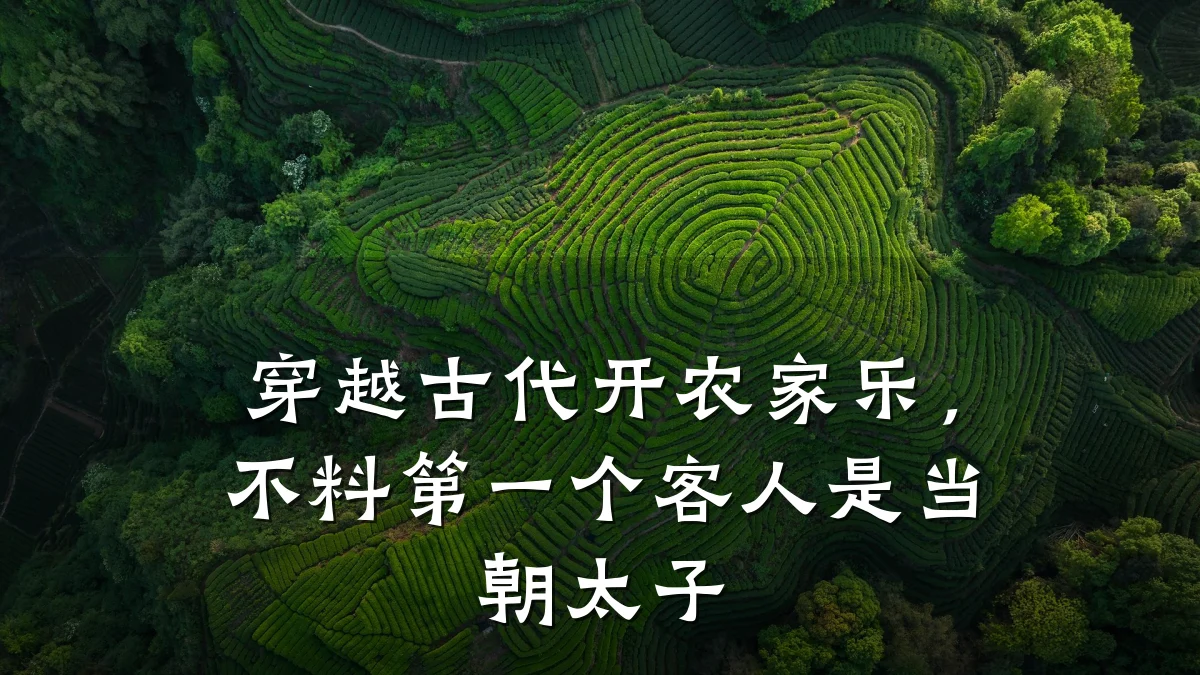 穿越古代开农家乐,不料第一个客人是当朝太子
