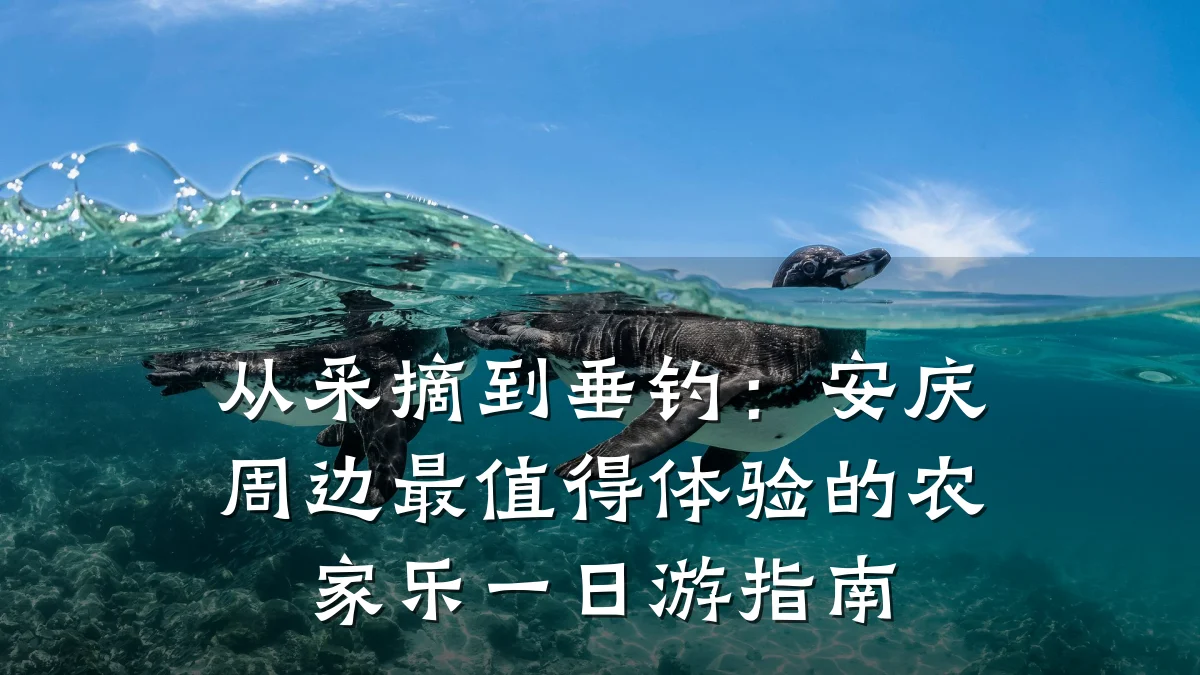从采摘到垂钓:安庆周边最值得体验的农家乐一日游指南