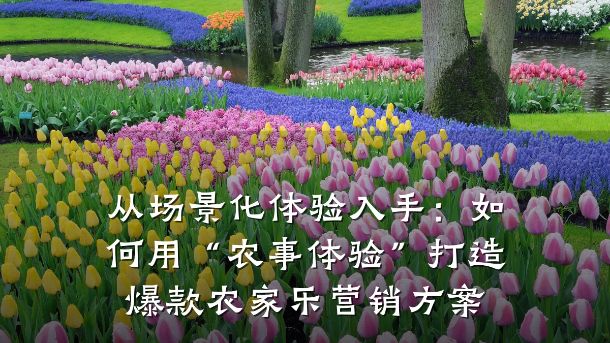 从场景化体验入手:如何用“农事体验”打造爆款农家乐营销方案