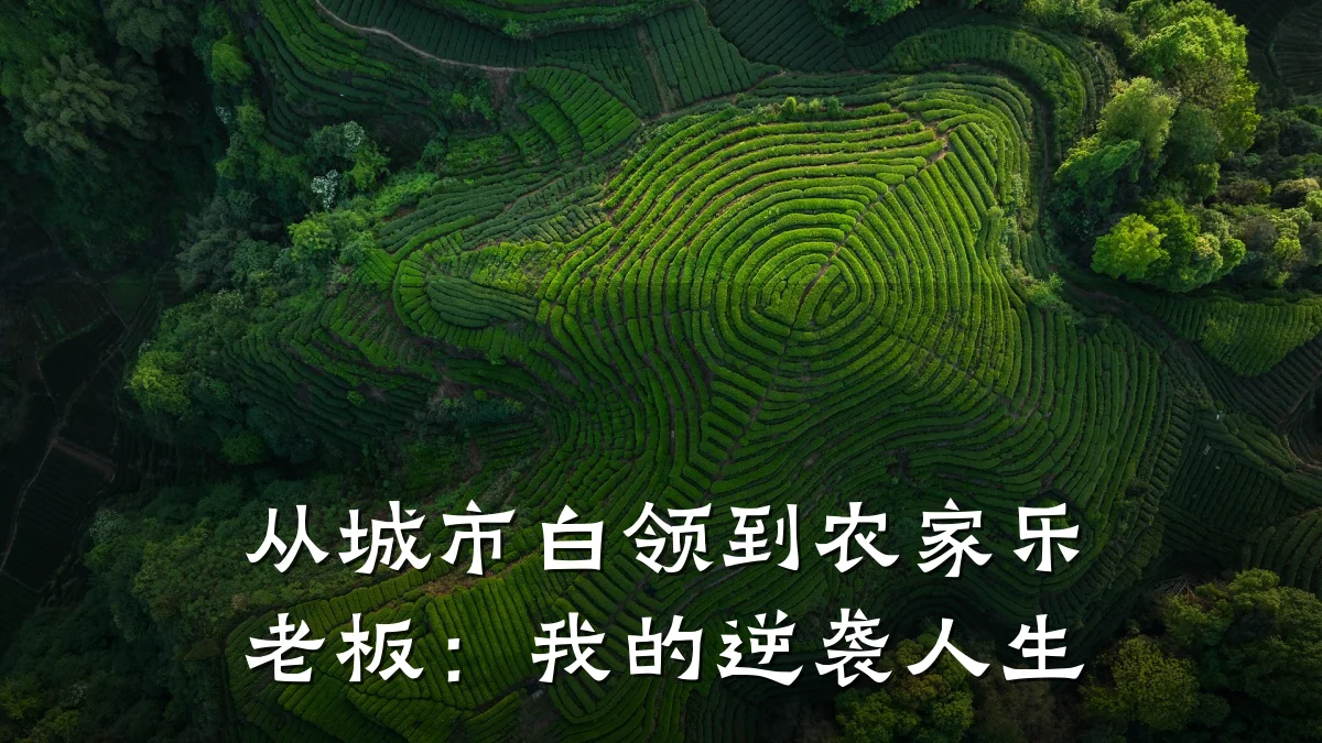 从城市白领到农家乐老板:我的逆袭人生