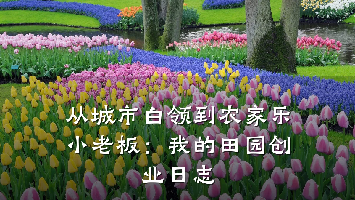 从城市白领到农家乐小老板:我的田园创业日志