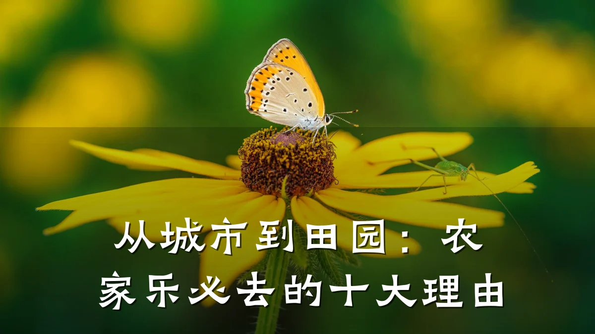 从城市到田园:农家乐必去的十大理由