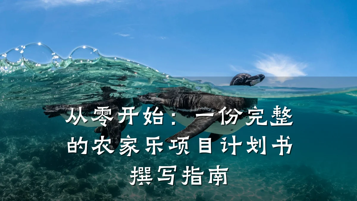 从零开始:一份完整的农家乐项目计划书撰写指南